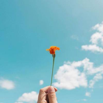 中欧体育app全站