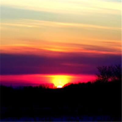 2023年香港资料精准app下载