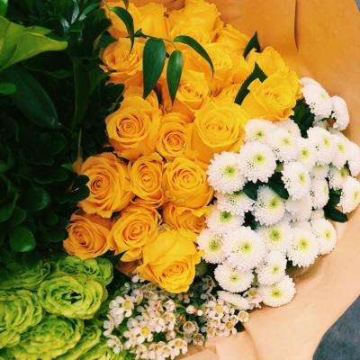 开云·体育平台下载手机版